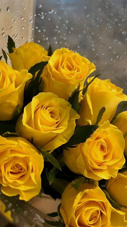 Caja de 3 rosas amarillas