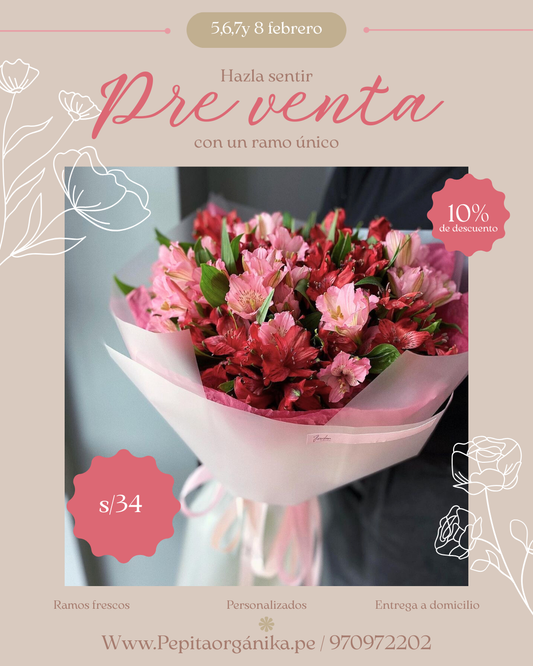 Ramo grande astromelias