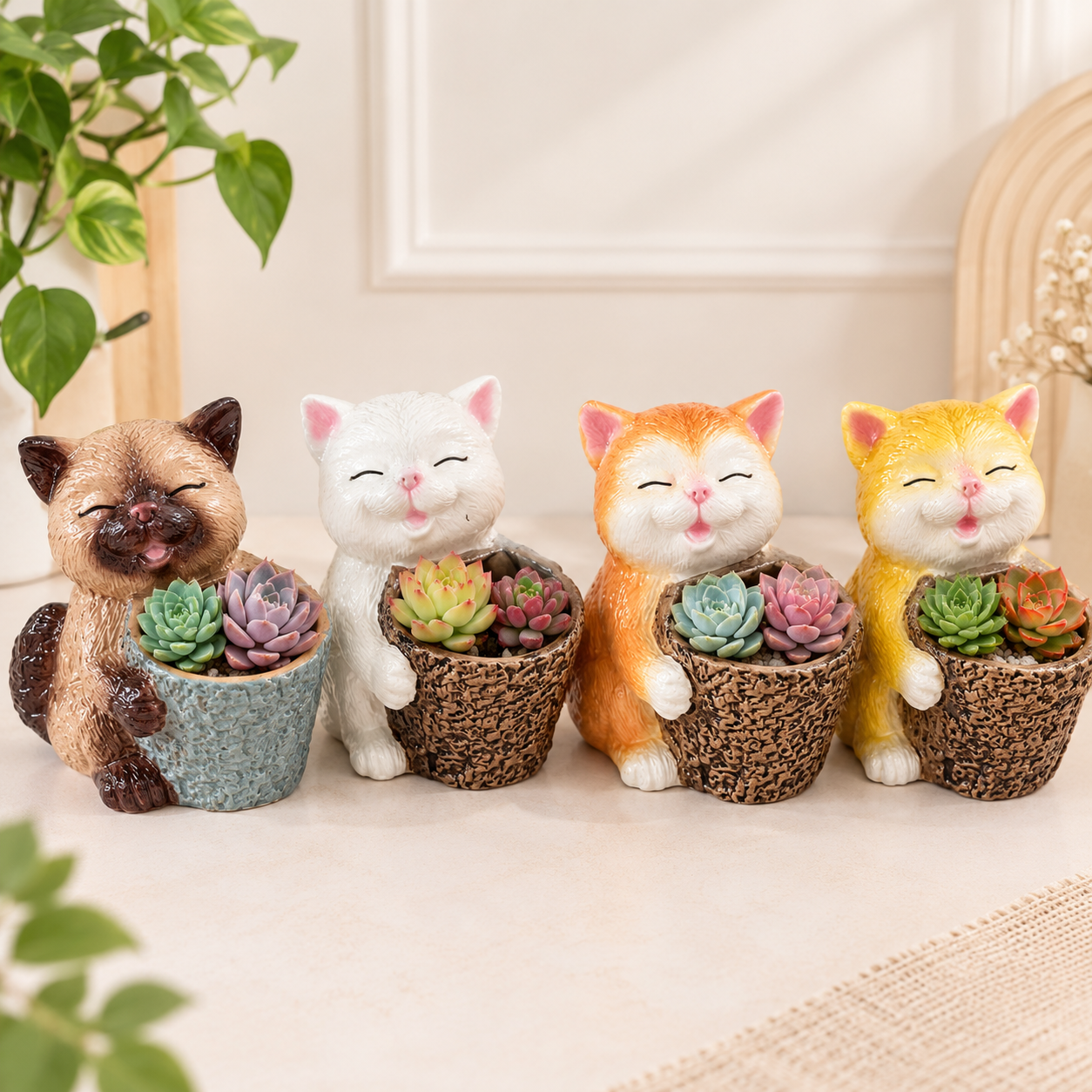 Maceta Gatito colores