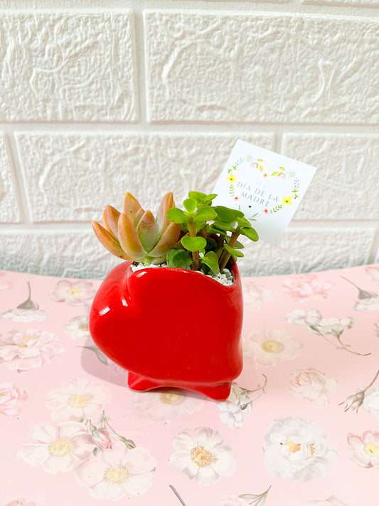 Mini corazón #2