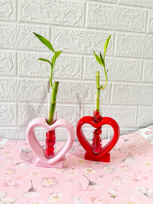 Bambú corazón